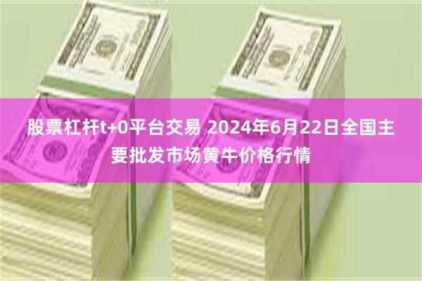 股票杠杆t+0平台交易 2024年6月22日全国主要批发市场黄牛价格行情