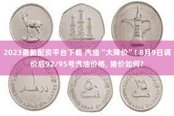 2023最新配资平台下载 汽油“大降价”! 8月9日调价后92/95号汽油价格, 猪价如何?