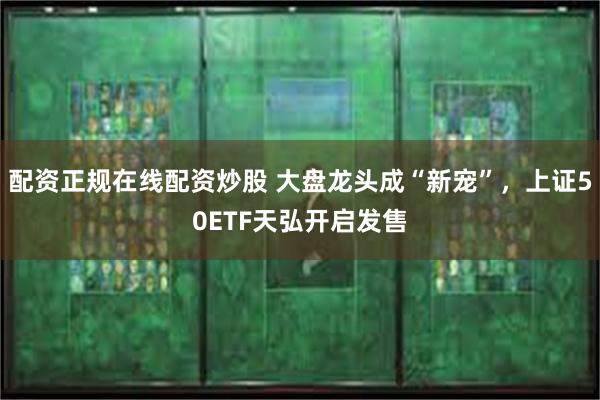 配资正规在线配资炒股 大盘龙头成“新宠”，上证50ETF天弘开启发售