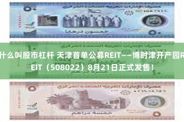 什么叫股市杠杆 天津首单公募REIT——博时津开产园REIT（508022）8月21日正式发售！