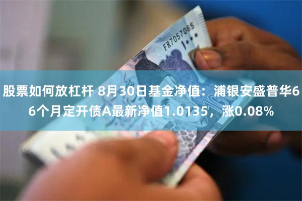 股票如何放杠杆 8月30日基金净值：浦银安盛普华66个月定开债A最新净值1.0135，涨0.08%